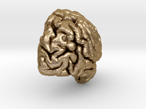 Right Brain Hemisphere 1/1 in Polished Gold Steel
