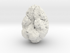 Brain MRI in White Natural Versatile Plastic