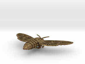 Death's-head Hawkmoth in Natural Bronze