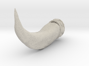 Claw Pendant in Natural Sandstone