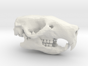 Rat Skull in White Natural Versatile Plastic