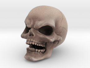 COLOR Evil Skull in Full Color Sandstone