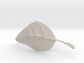 leaf in Natural Sandstone