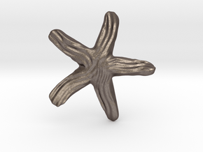 Groovy Twisty Starfish Earring in Polished Bronzed Silver Steel