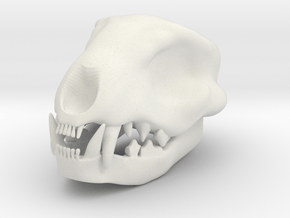 Cat Skull 1.5 Inches in White Natural Versatile Plastic