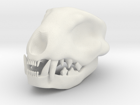 Cat Skull 3 Inches in White Natural Versatile Plastic