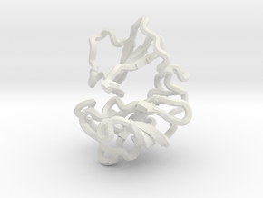 Viral 2A Proteinase_70 mm (pdb id 2M5T) in White Natural Versatile Plastic