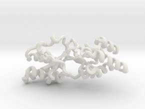 Ebola Virus VP35 Dimer (pdb id: 4IBC)   in White Natural Versatile Plastic