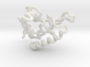 Hypothetical Protein (pdb id 2ML5) in White Natural Versatile Plastic