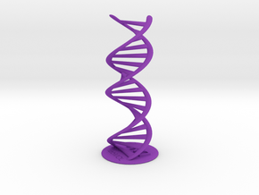 DNA double helix with stand (schematic) in Purple Processed Versatile Plastic
