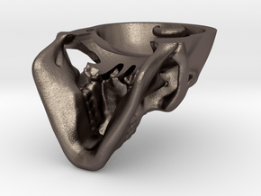 Human skull with Ring  3.4 cm in Polished Bronzed Silver Steel