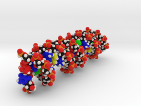 DNA Model "Miescher", 2 Sizes. in Full Color Sandstone: Small