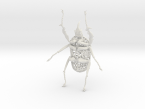 Goliath Beetle - 9cm in White Natural Versatile Plastic