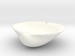 Palm Beach Sea Shell Pendant in White Processed Versatile Plastic