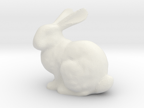 Bunny2 in White Natural Versatile Plastic
