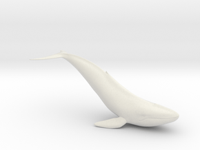 Bluewhale in White Natural Versatile Plastic