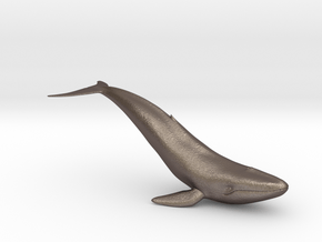 Bluewhale in Polished Bronzed Silver Steel