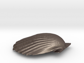 Scallop Shell in Polished Bronzed Silver Steel