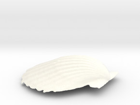 Scallop Shell in White Processed Versatile Plastic