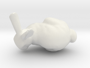 Bunny Thicken in White Natural Versatile Plastic