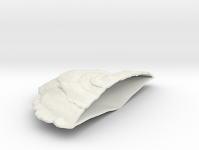 Thick mushroom 1 in White Natural Versatile Plastic