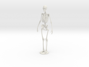 Skeleton new in White Natural Versatile Plastic
