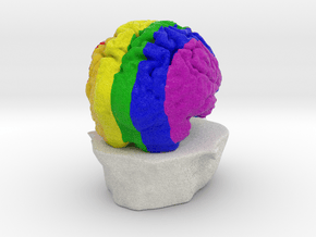 Rainbow Brain in Full Color Sandstone
