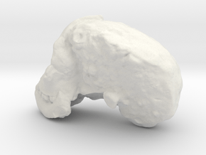 TaungSkull in White Natural Versatile Plastic