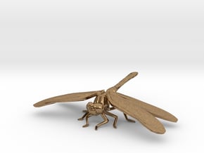 Dragonfly in Natural Brass