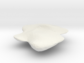 NeuPalacsinta in White Natural Versatile Plastic