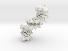 DNA molecule small in White Natural Versatile Plastic
