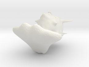ufó2 in White Natural Versatile Plastic