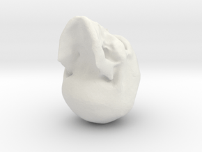 skull4 in White Natural Versatile Plastic