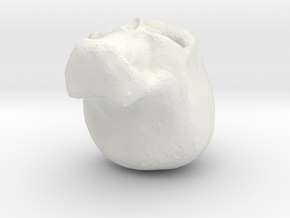 skull in White Natural Versatile Plastic