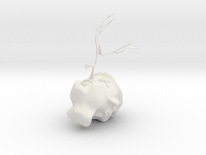pinocchio underconstruction in White Natural Versatile Plastic