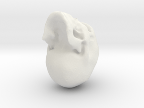 skull in White Natural Versatile Plastic