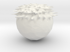 sea ??urchin in White Natural Versatile Plastic
