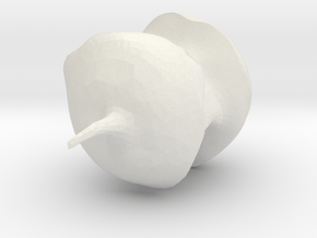 appl in White Natural Versatile Plastic