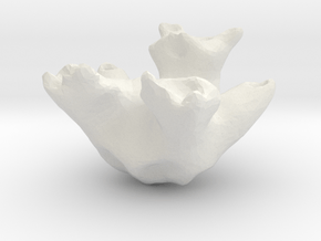TeddyBear in White Natural Versatile Plastic