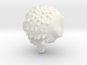 Head from leopolyNEXT in White Natural Versatile Plastic