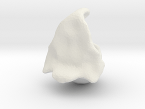 cartoon head draft 2 in White Natural Versatile Plastic