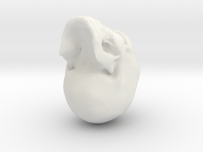skull3 in White Natural Versatile Plastic