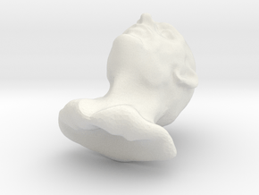 leonid in White Natural Versatile Plastic
