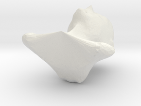 Derp Face in White Natural Versatile Plastic