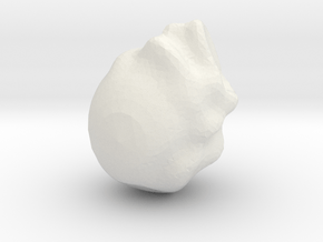 5255 in White Natural Versatile Plastic
