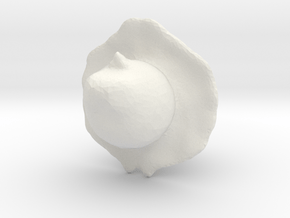 Gandalf_2 in White Natural Versatile Plastic