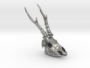Roe Deer Skull in Natural Silver