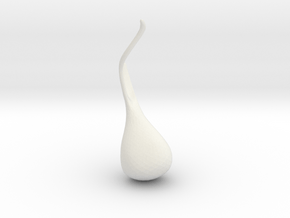 Trichomonas Vaginalis Version 3 in White Natural Versatile Plastic