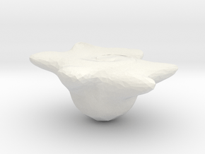 deszkizé3 in White Natural Versatile Plastic