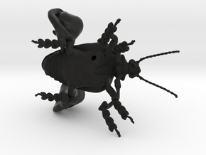 Frog-legged leaf beetle in Black Natural Versatile Plastic
